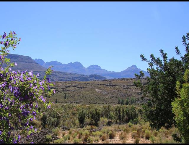 86HA FARM FOR SALE IN CERES RURAL